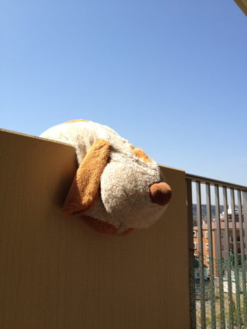 image-20120320113554.png