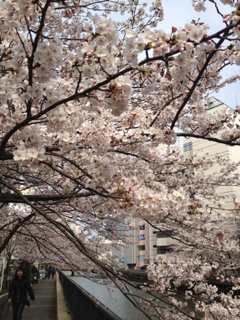 image-20120408194532.png
