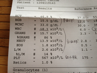 image-20120411123847.png
