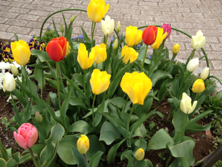 image-20120411124339.png