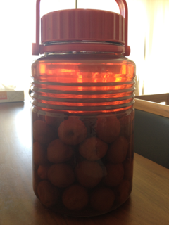 image-20120915153730.png