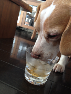 image-20120915154002.png