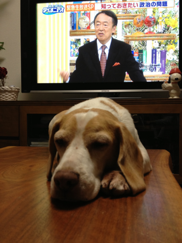 image-20121014203601.png